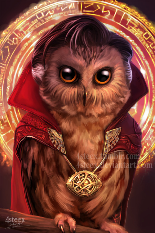 Doctowl StrangeDoctor strange owl, looking even more bad ass then Benedict Cumberbatchnext is assass