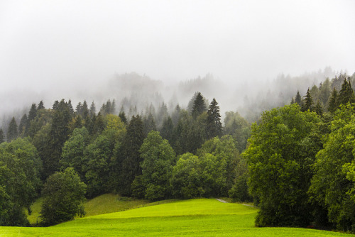 90377:rainy morning by Martin Niegosz on Flickr.