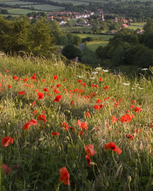 wanderthewood: Bishop Wilton, East Yorkshire, England by Paul Moon