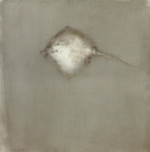 workman:  iamjapanese: Alessandro Nocentini（Italian, b.1949） La Razza    2002   tecnica mista su carta intelata Calamaro   2007   acquerello su carta La seppia   2010    acquerello su carta Trota e trota 