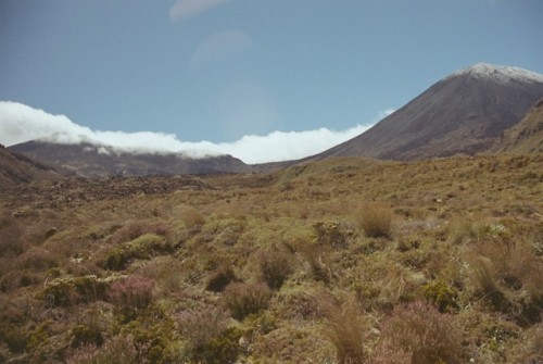 Tongariro Crossing, Tongariro National ParkNew Zealand, 2013fred postles