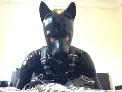 pupteal:  Part 2 of my play session
