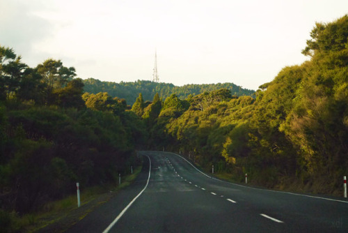 20160507 - On the road towards Kitekite Falls, Auckland.