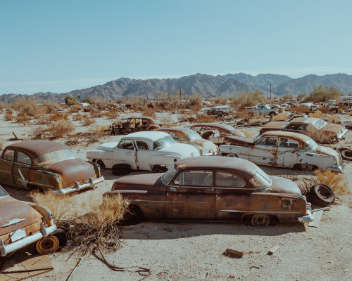 Porn mattlingo: Desert Center, Mojave Desert photos