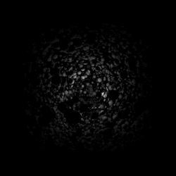 jesuisrien-e:Black and White