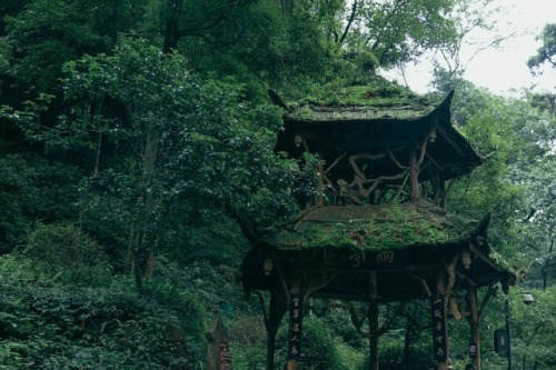 fuckyeahchinesegarden: 青城山 Qingcheng Mountain in Sichuan province