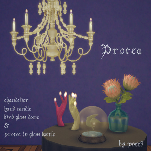 serenebluesims: random set Protea for Sims4     by pocci The set Protea includes