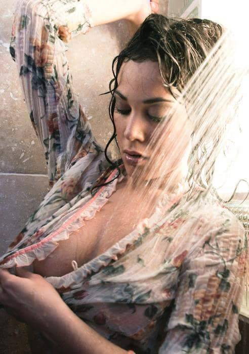 Quello che cerchi