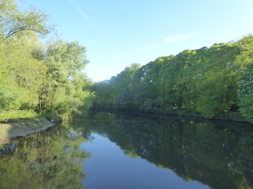 Beautiful walk to work this morning. This is my favourite season, everything is so fresh and greenYo