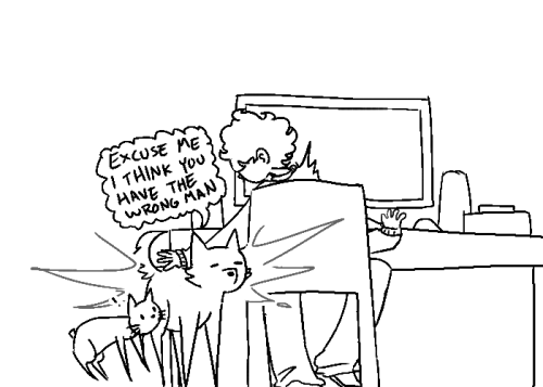 cameoamalthea:  auntiehardscum:  kidacon:  life with a cat and a dog  perfect   so true!  My chihuahua does this whenever I give attention to anyone else; the cats, the other two dogs, people… Hell, sometimes she even does it to my laptop ;u;
