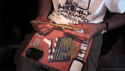 Weedporndaily:  Rolling Up An L