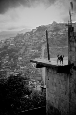 brazilwonders:  Belo Horizonte - Minas Gerais