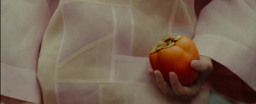 kaafka:okja (2017) dir. bong joon-ho / lee li-young, “persimmons” / julian merrow-smith, “persimmons