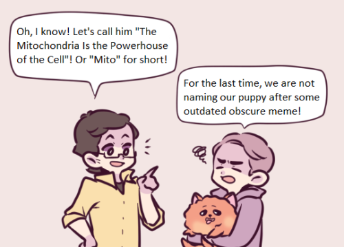 caliceal:Reddie try to think of names for their puppy