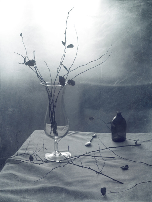 elinka: with branches by Елена Лысенко