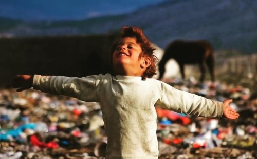 Yaşamak gecenin tüm karanlığına rağmen, buğulu bir cama güneşi çizebilmektir. - Alfred Tennyson