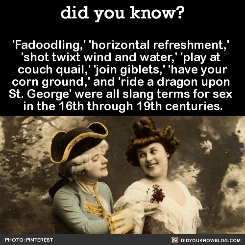 did-you-kno:  ‘Fadoodling,’ ‘horizontal refreshment,’  ‘shot twixt wind
