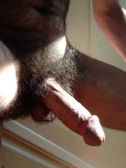 Hairy Hunky Men