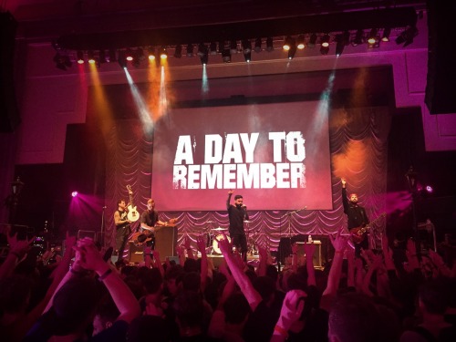 knarwolves:  A Day To Remember X Kerrang! Awards X 09/06/16 