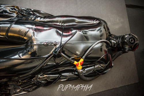 XXX Rubber Canuck photo