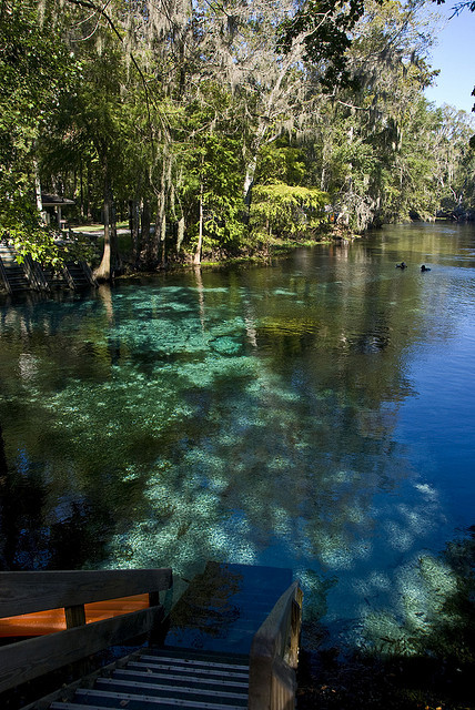 visitheworld:  Ginnie Springs in Florida / USA (by Charlie Pfeifler).
