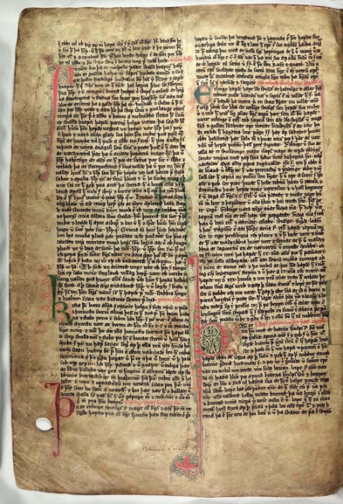 the-wicked-knight:The saga of Erik the Red was written down between 1387 - 1394. This is what it loo