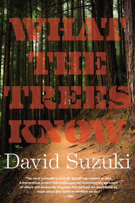 DAY: 77/100 David Suzuki: “What the Trees Know”