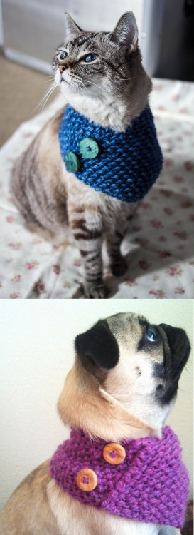 DIY Knit Cowl Free Pattern for Cats&hellip; and Small AnimalsWill your cat (or dog) hate you for for