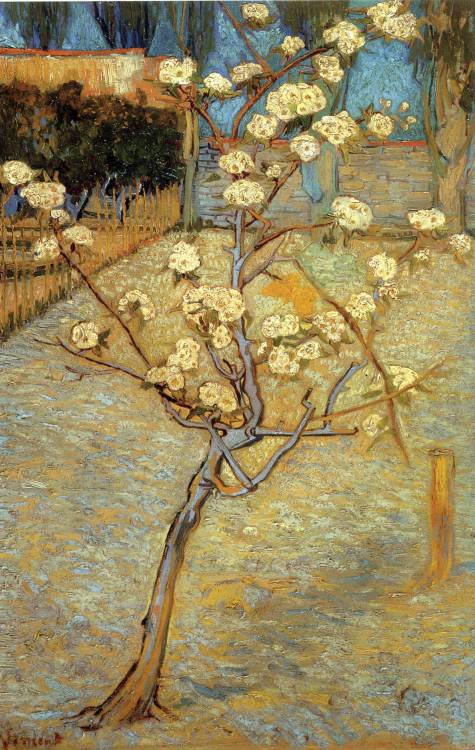 Vincent van Gogh, Pear Tree in Blossom, 1888