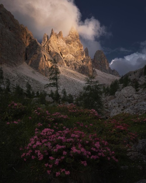 quiet-nymph:Photography by Bruno Pisani