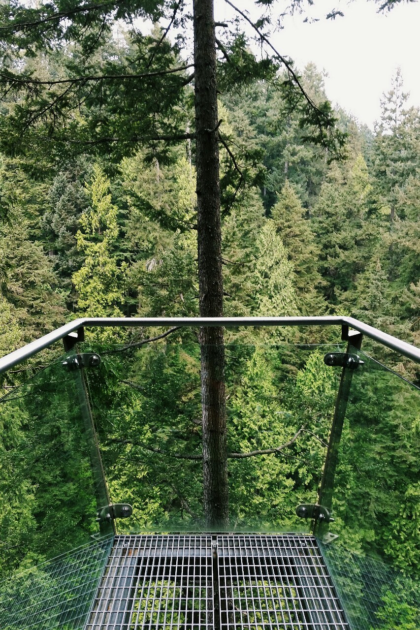 open-minded-teen:  Capilano Suspension Bridge Park, North Vancouver, British Columbia,