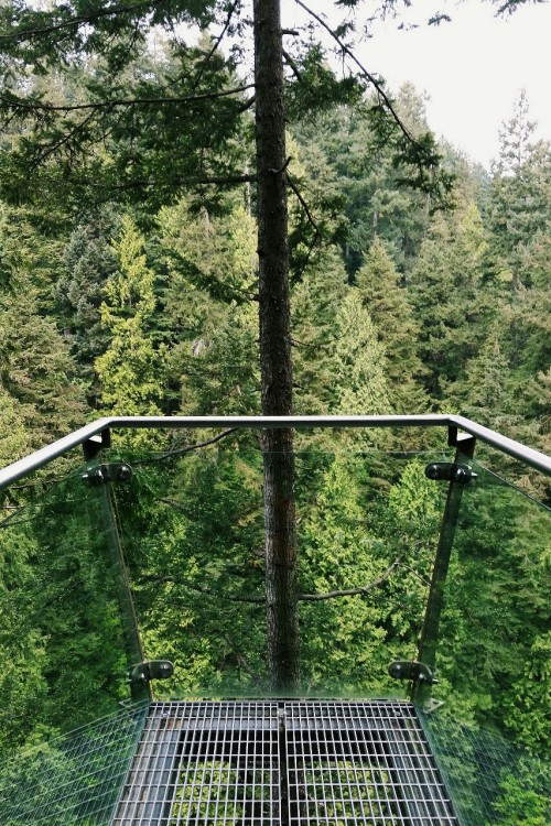 open-minded-teen:  Capilano Suspension Bridge Park, North Vancouver, British Columbia, Canada 