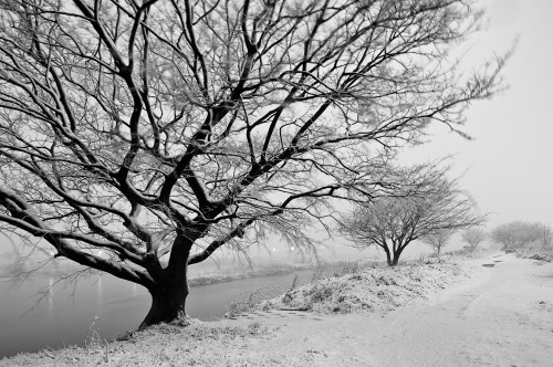 dochuff:  It was winter once, and cold. Tamagawa River, Tokyo side Small Town Tokyo  circa 2011