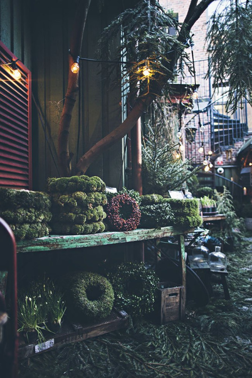 oldfarmhouse: TreeFarm www.pinterest.com