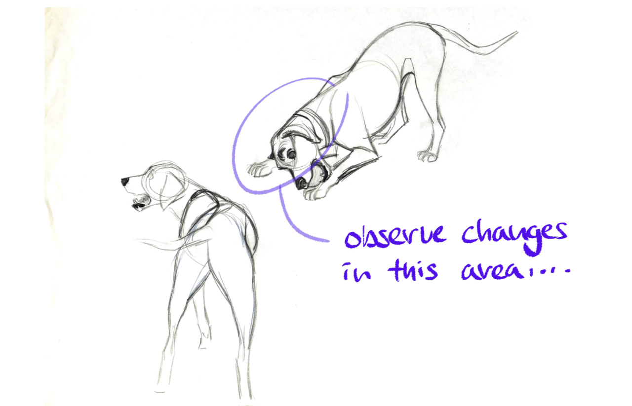 shiyoonkim:  This is part of a lecture I gave for the leadership to analyze the importance