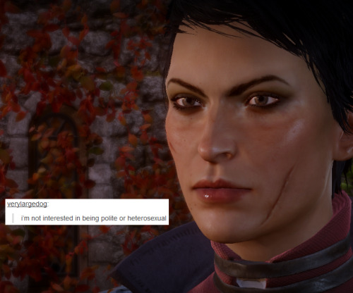 bubonickitten:  Dragon Age: Inquisition & (LGBTQ ) text posts — part 2 Pretty sure each DA game is mostly about a pack of queers who trip all over themselves trying to be heroic and accidentally make history in the process. More DA text post memes: