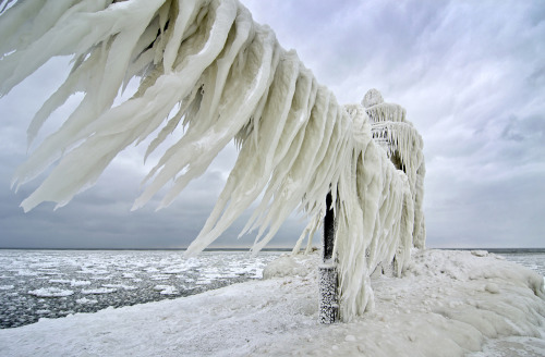 likeafieldmouse:  Tom Gill - Frozen Lighthouses on Lake Michigan (2013)