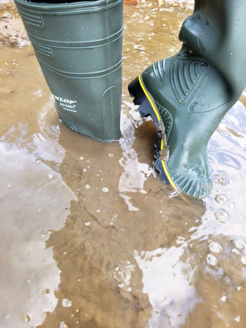 Field-testing my Dunlop wellies to make sure I can safely go through mud whenever I want.