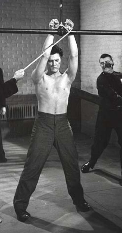 mynewplaidpants:Elvis Presley in Jailhouse Rock