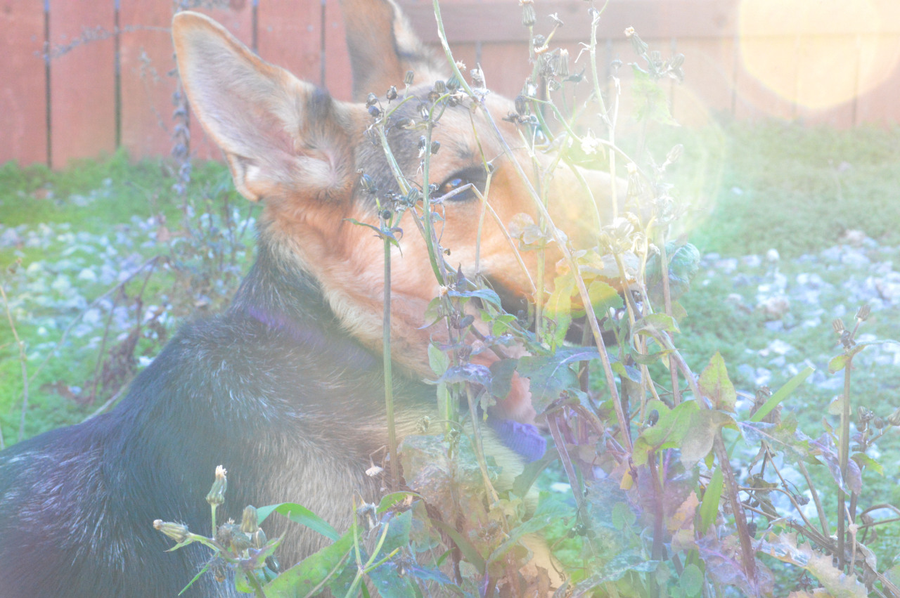 Lovely girl✨🌈🌿

  

🌛Instagram- megarahmoon