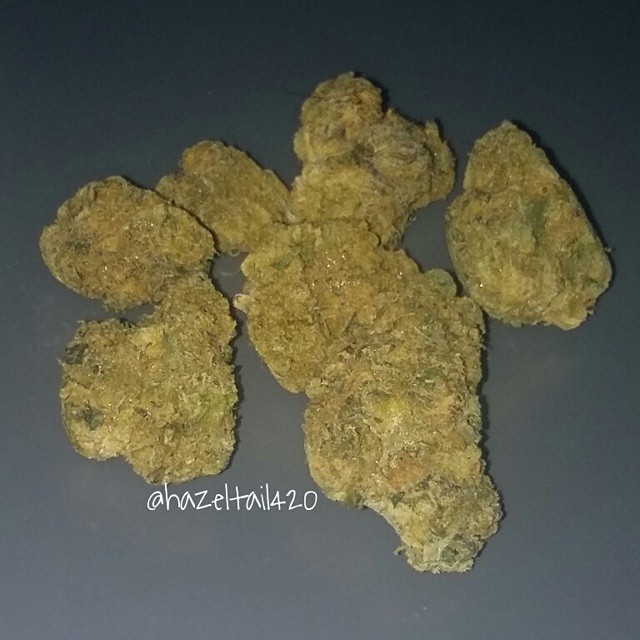 hazeltail420:  Girl Scout Cookies #weed #pot #marijuana #cannabis #ganja #bud #nug