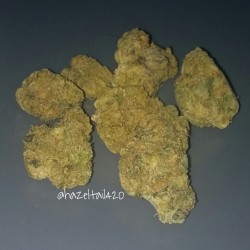 hazeltail420:  Girl Scout Cookies #weed #pot #marijuana #cannabis #ganja #bud #nug #nugs #dank #weedporn #420 #girlscoutcookies #gsc