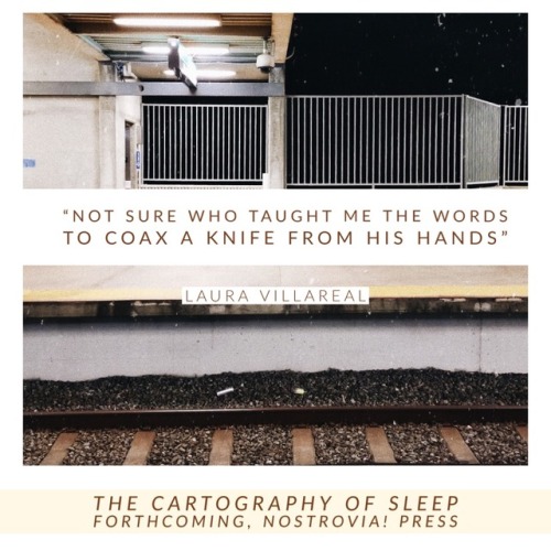 from our 2018 Chapbook Series, Laura Villareal’s The Cartography of Sleep <3 