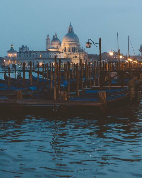 vintagepales2: Venice by night