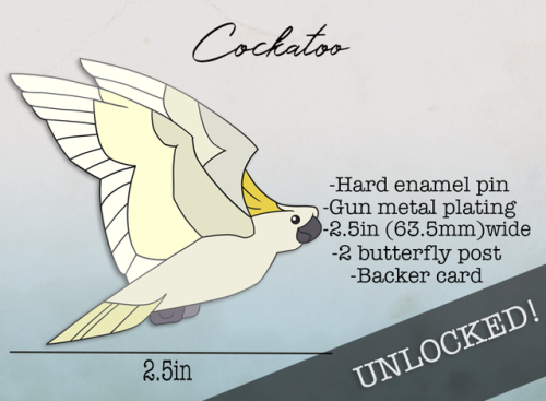 ONLY 4 DAYS LEFT!All the birds have been unlocked for all tier levels! There are still early bird di