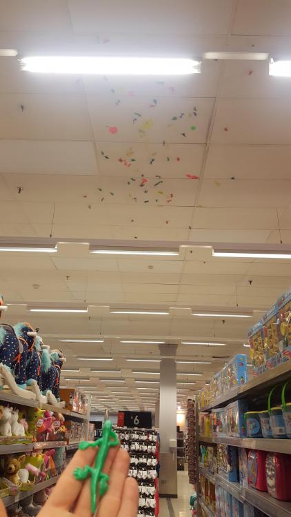 thecutespook:failnation:Someone went to town with sticky lizards in this Kmart.They threw some of th
