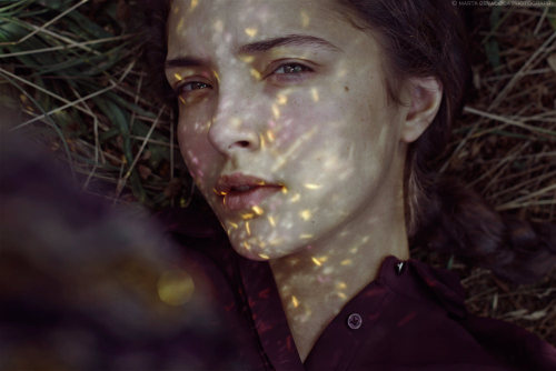 positivelynoteworthy:  the dance of fireflies (via Marta Bevacqua)