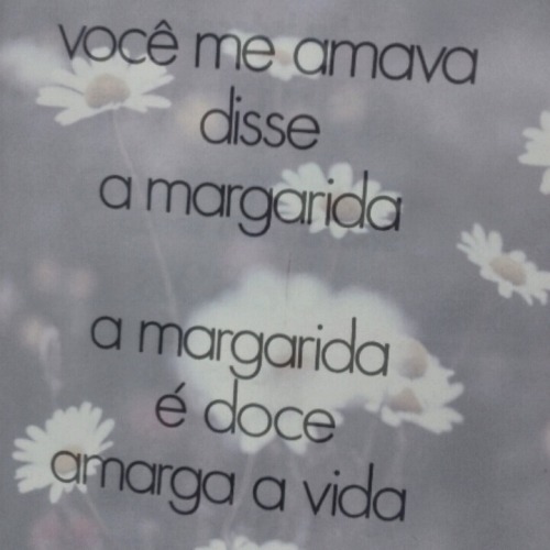 tumblr photo se-movimenta 0