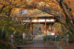 koedkariuchi:  常寂光寺、嵐山。Joujakkouji temple, Arashiyama, Kyoto city.