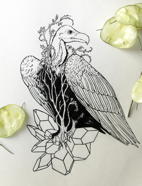 Custom tattoo design with vulture. Gorgeous, highly underappreciated creatures.